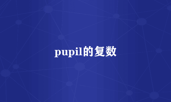 pupil的复数