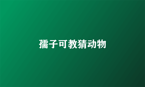 孺子可教猜动物