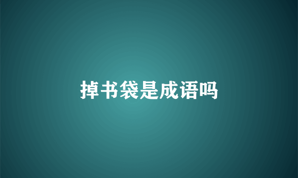 掉书袋是成语吗