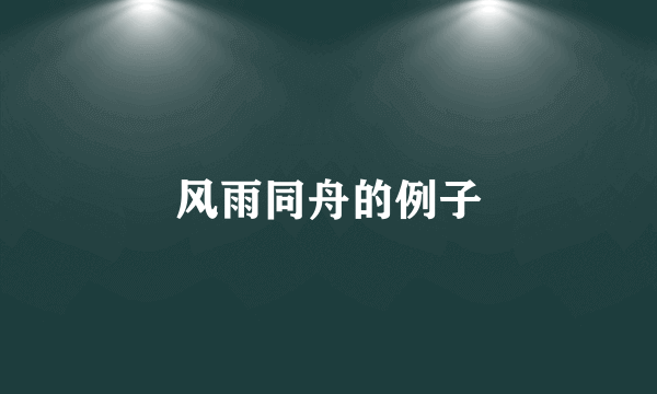 风雨同舟的例子