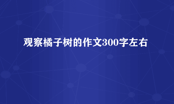 观察橘子树的作文300字左右