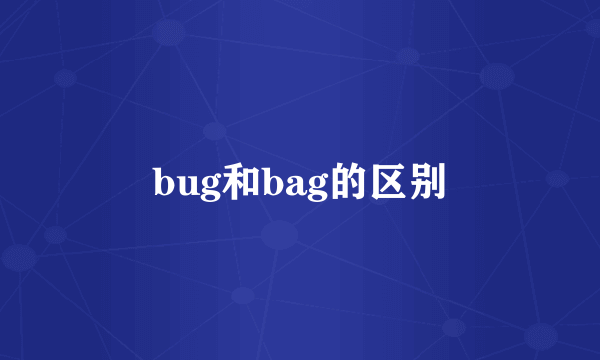 bug和bag的区别