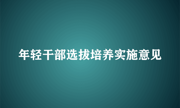 年轻干部选拔培养实施意见