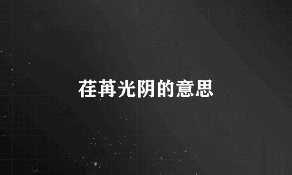 荏苒光阴的意思