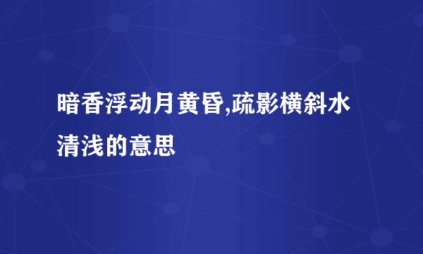 暗香浮动月黄昏,疏影横斜水清浅的意思