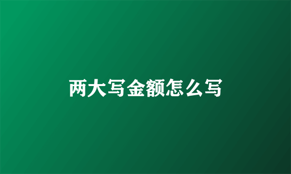 两大写金额怎么写