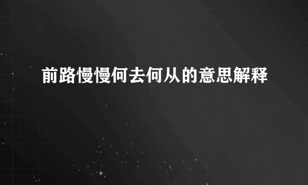 前路慢慢何去何从的意思解释