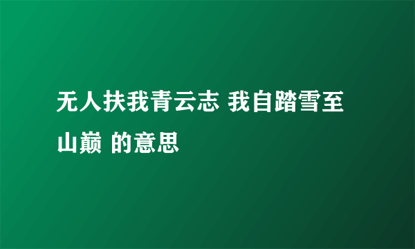 无人扶我青云志 我自踏雪至山巅 的意思