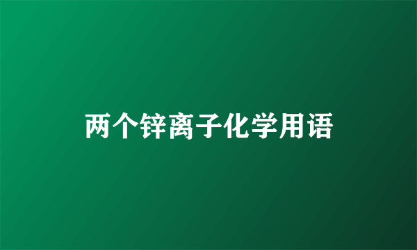 两个锌离子化学用语