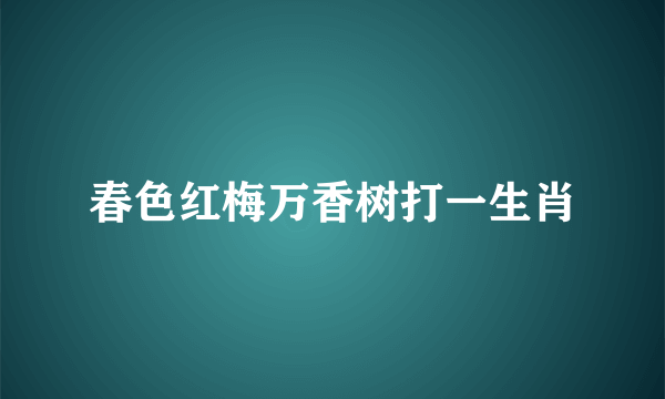 春色红梅万香树打一生肖