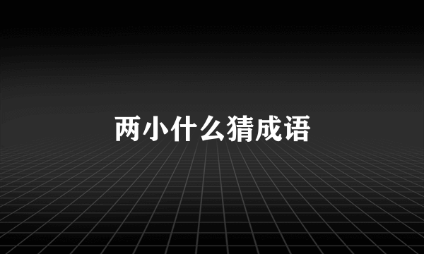 两小什么猜成语