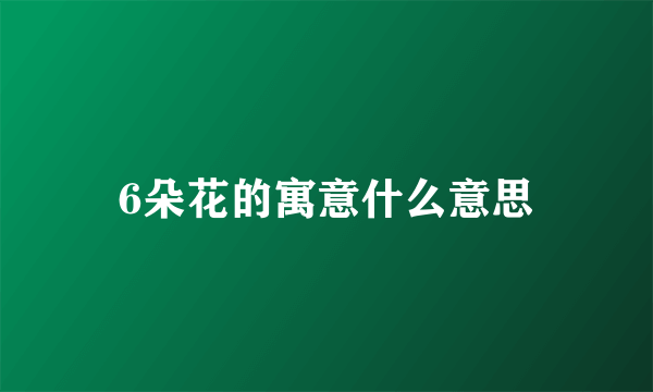 6朵花的寓意什么意思