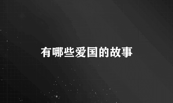 有哪些爱国的故事