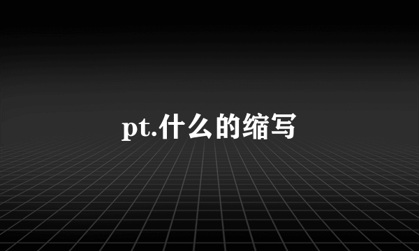 pt.什么的缩写