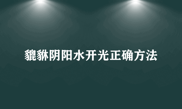 貔貅阴阳水开光正确方法