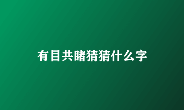 有目共睹猜猜什么字