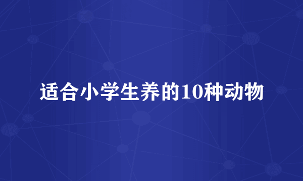 适合小学生养的10种动物