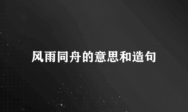 风雨同舟的意思和造句