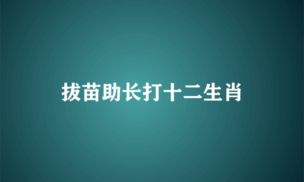 拔苗助长打十二生肖