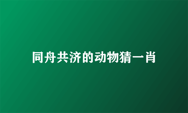 同舟共济的动物猜一肖