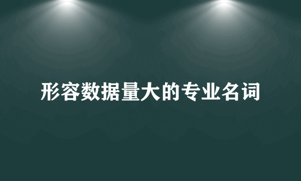 形容数据量大的专业名词