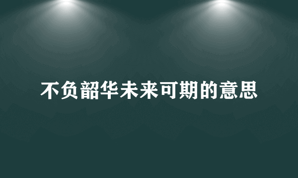 不负韶华未来可期的意思