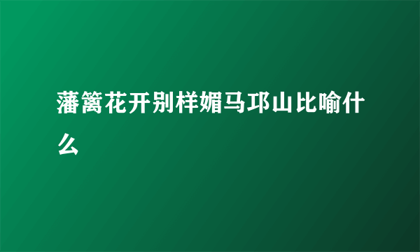 藩篱花开别样媚马邛山比喻什么