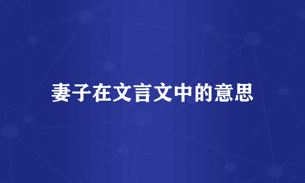 妻子在文言文中的意思