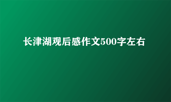 长津湖观后感作文500字左右