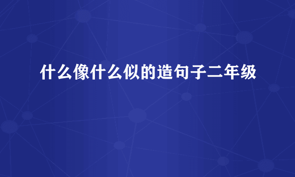 什么像什么似的造句子二年级