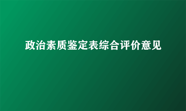 政治素质鉴定表综合评价意见