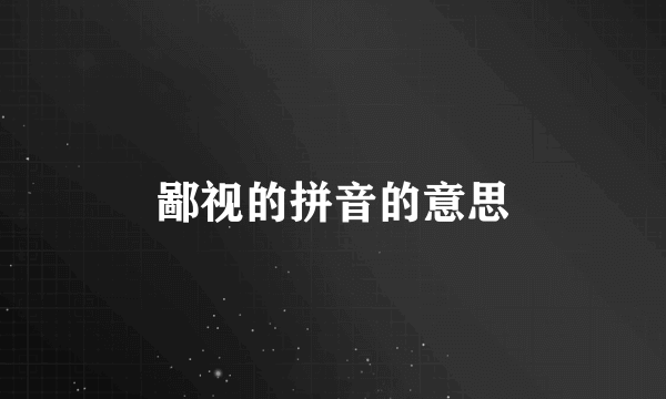 鄙视的拼音的意思