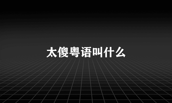 太傻粤语叫什么