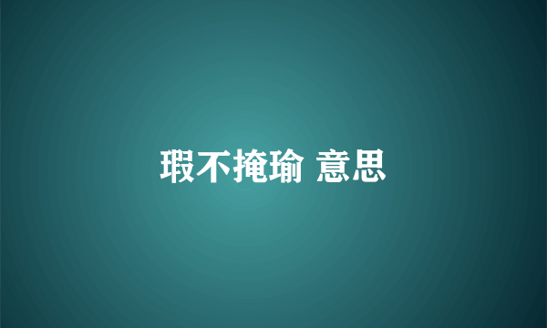 瑕不掩瑜 意思
