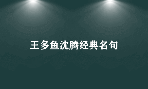 王多鱼沈腾经典名句