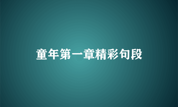 童年第一章精彩句段