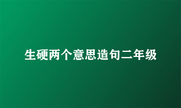 生硬两个意思造句二年级