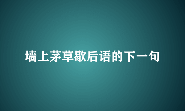 墙上茅草歇后语的下一句