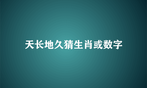 天长地久猜生肖或数字