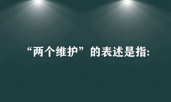 “两个维护”的表述是指: