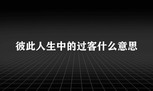 彼此人生中的过客什么意思