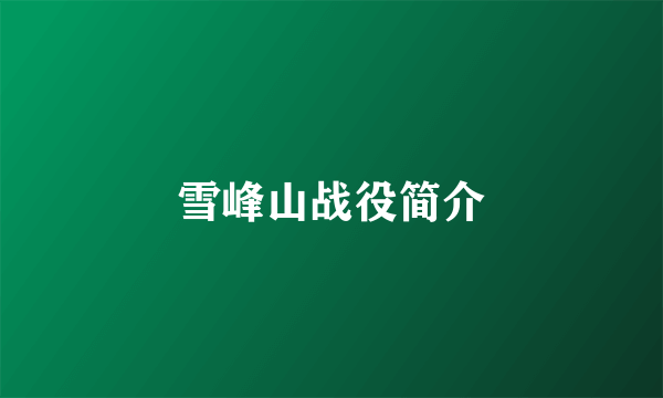 雪峰山战役简介