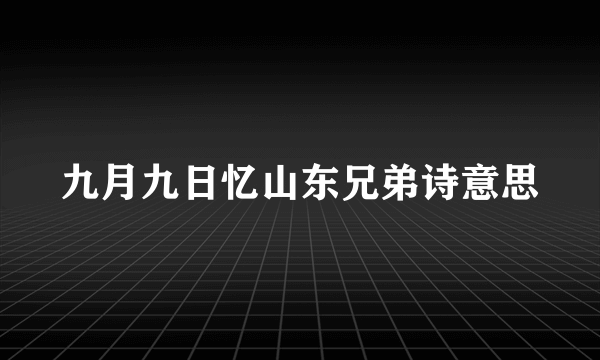 九月九日忆山东兄弟诗意思