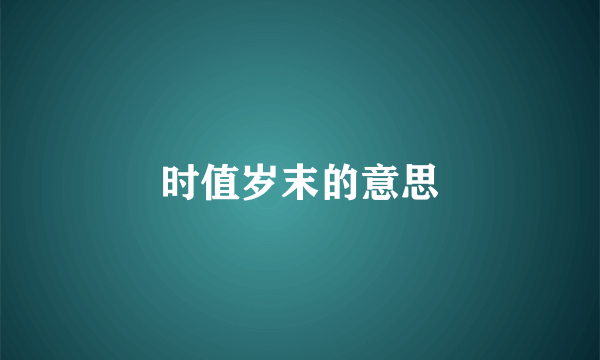 时值岁末的意思