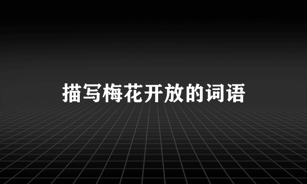 描写梅花开放的词语