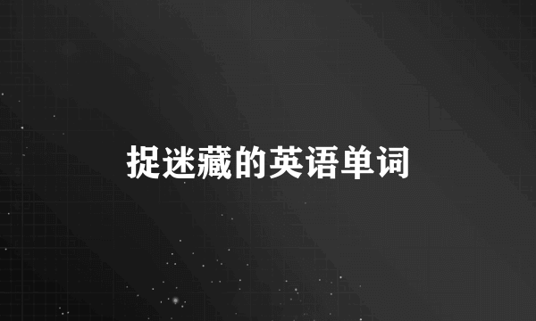 捉迷藏的英语单词