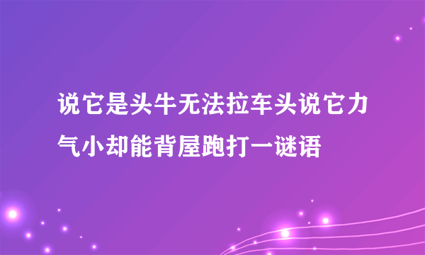 说它是头牛无法拉车头说它力气小却能背屋跑打一谜语