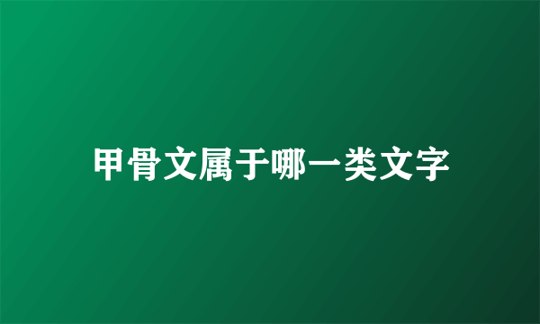 甲骨文属于哪一类文字