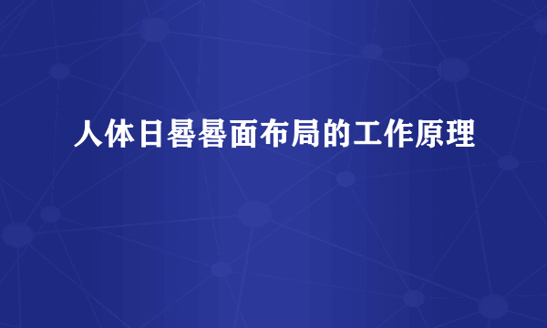 人体日晷晷面布局的工作原理