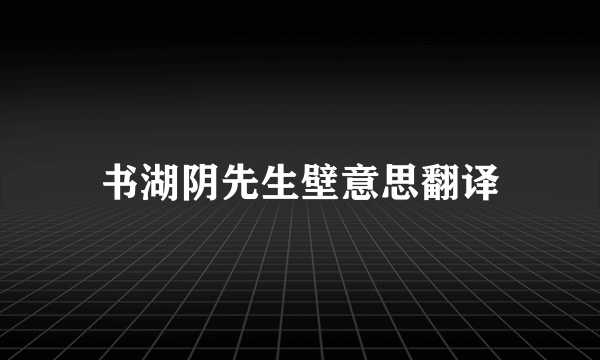 书湖阴先生壁意思翻译